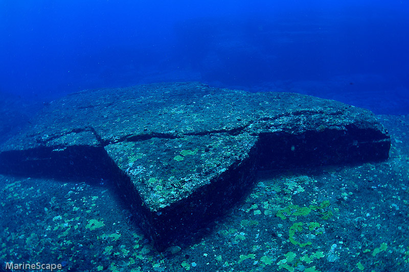 24　亀岩のモニュメント　海底遺跡・与那国
