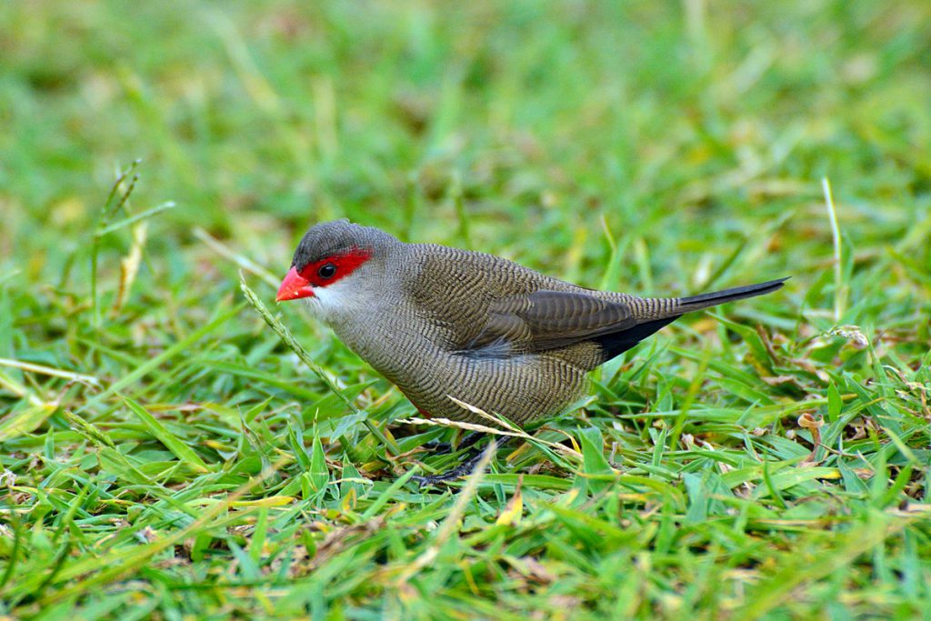 blog_import_52f4327cbb0bc-