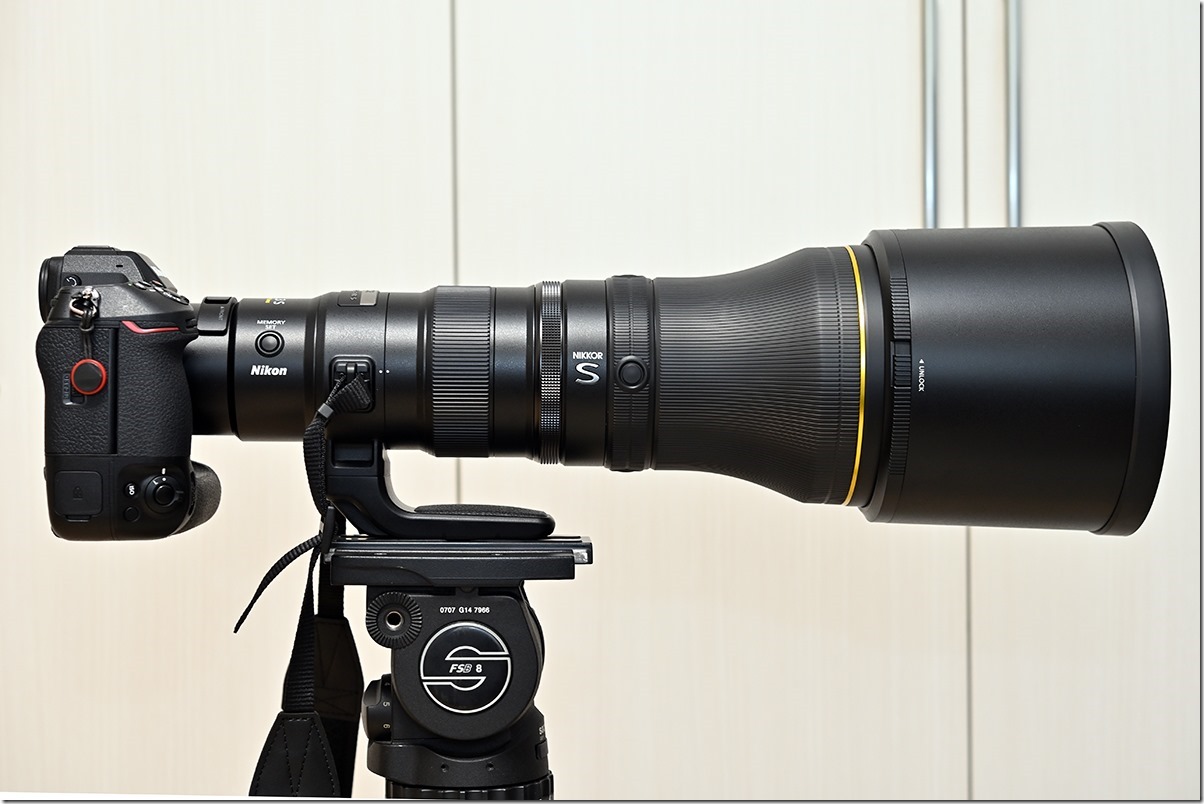 NIKKOR Z 800mm f/6.3 VR S – マリンスケープ