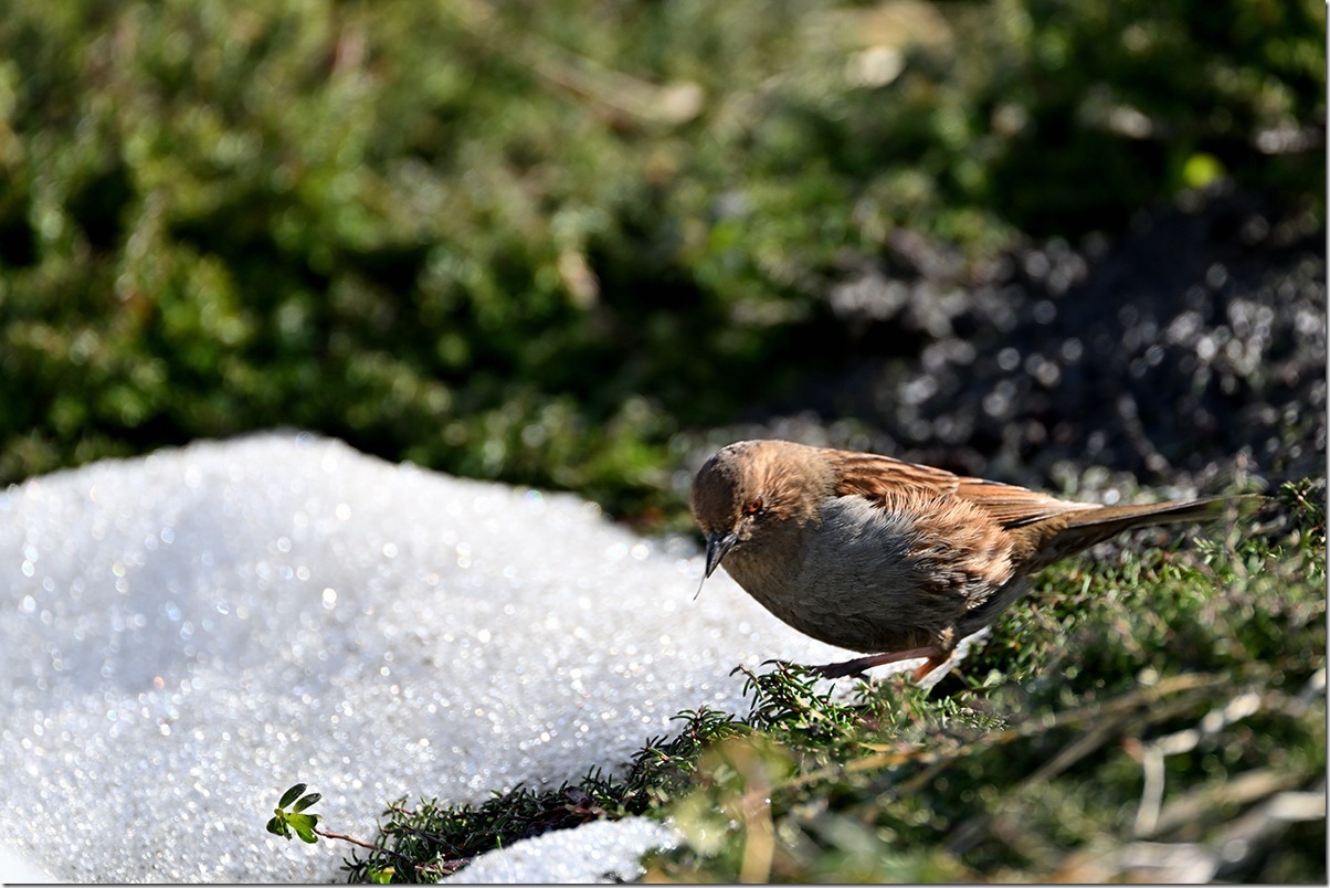 Z8M_7078_blog
