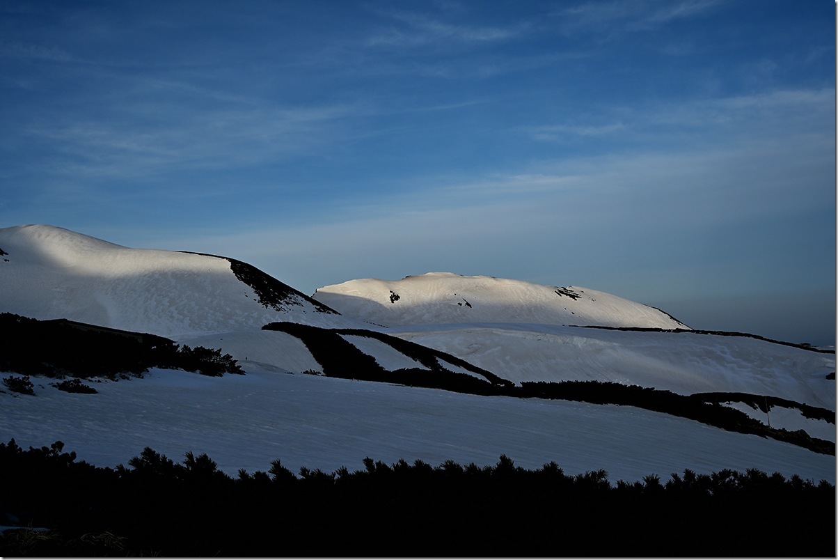 Z5M_1030_blog