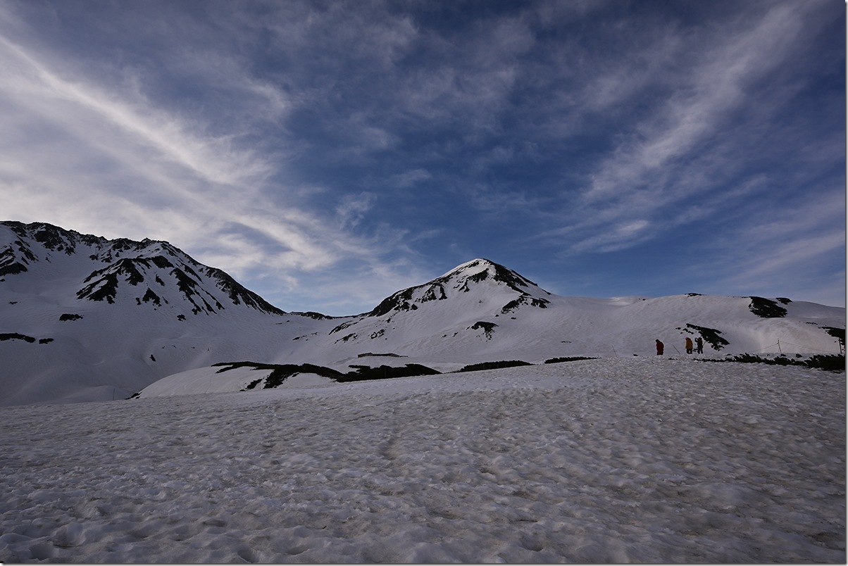 Z5M_1049_blog
