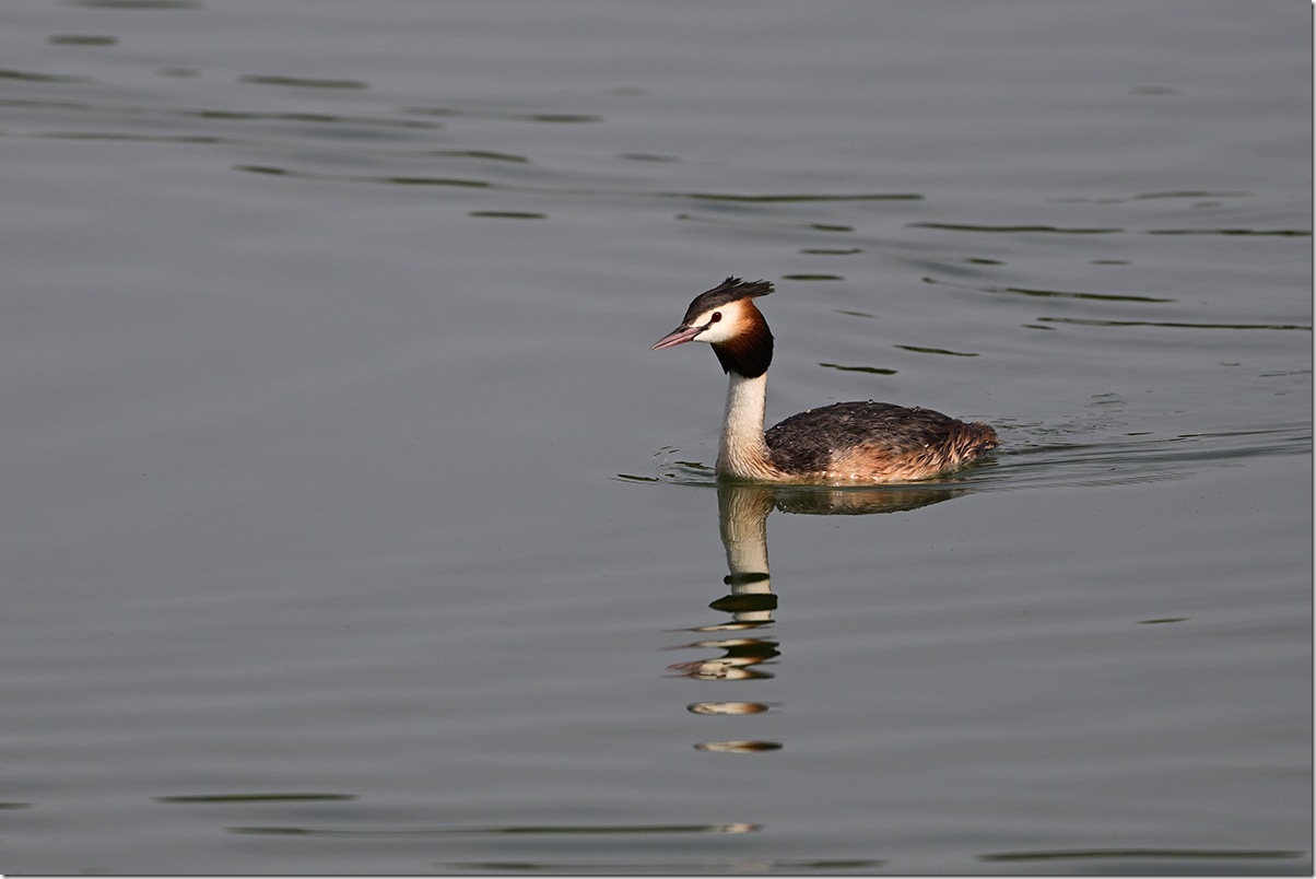 Z8M_0406_blog