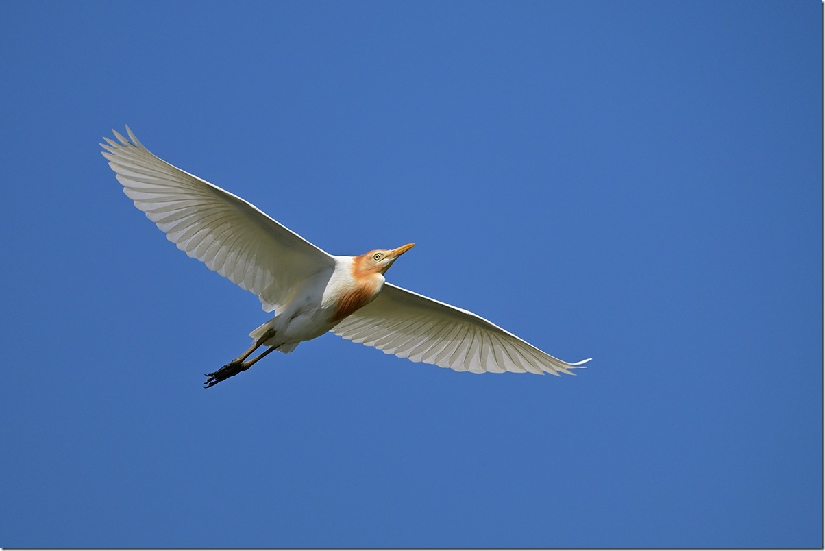 Z8M_6821_blog