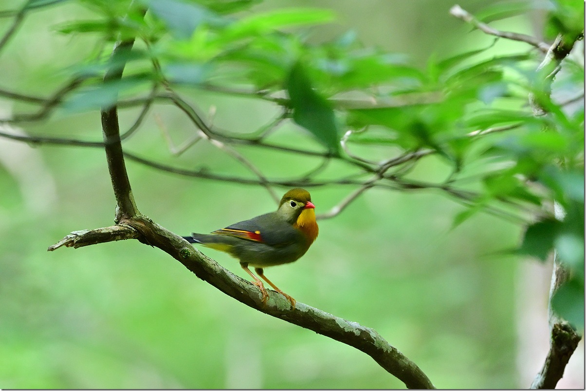 Z8M_7003_blog