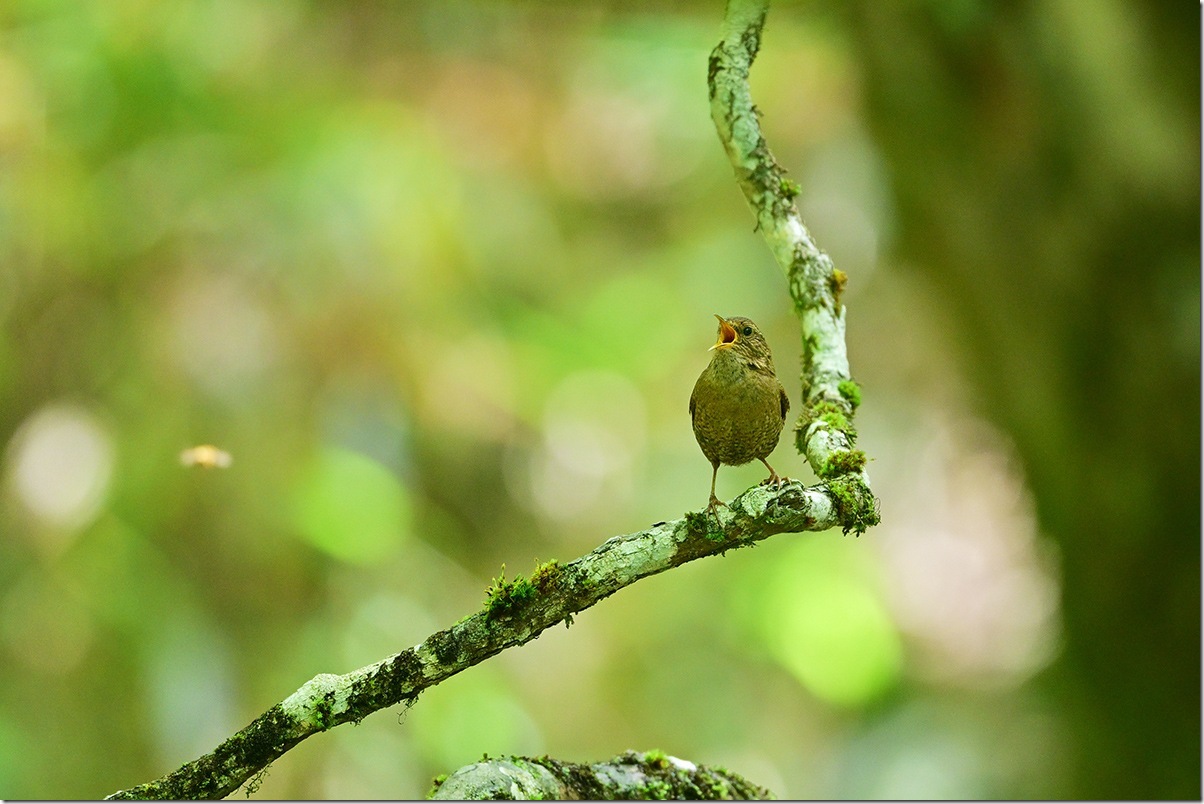 Z8M_7082_blog