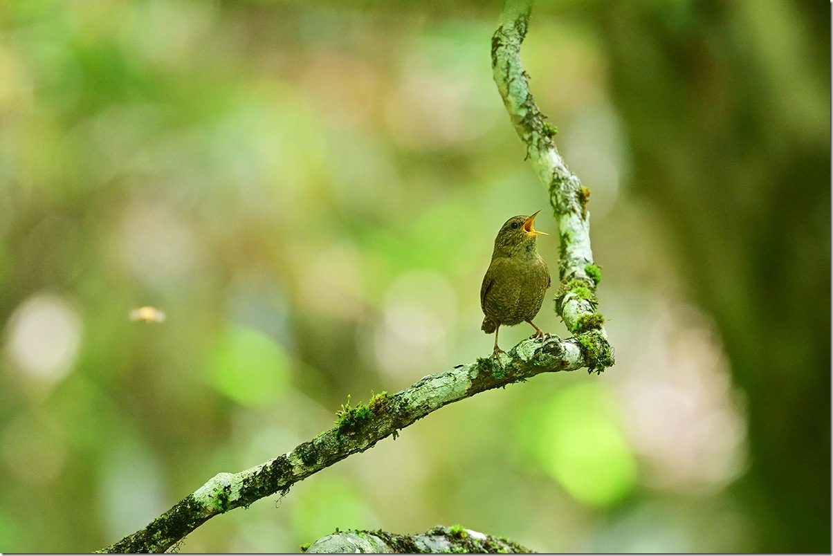 Z8M_7087_blog