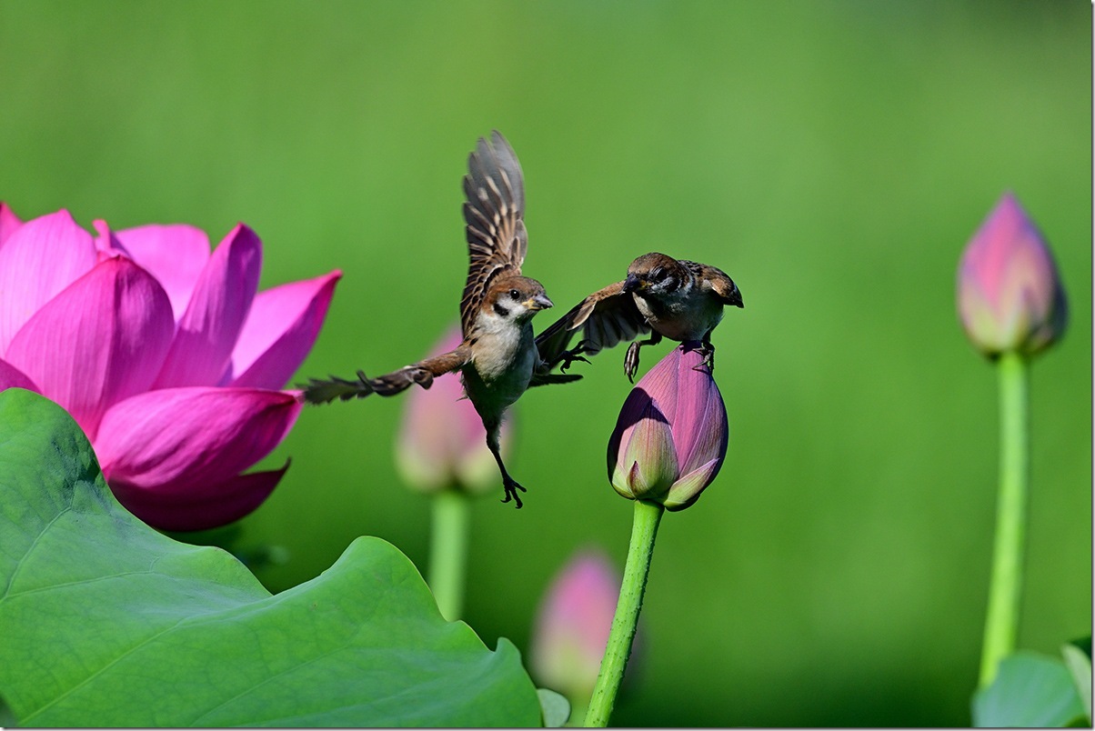 Z8M_8312_blog