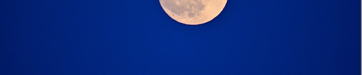 Z5M_2494_blog_thumb-1