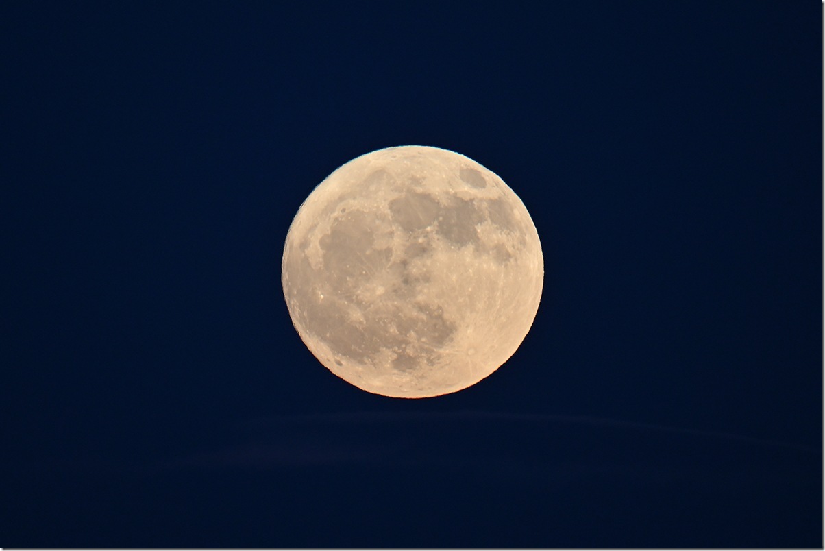 Z5M_2547_blog