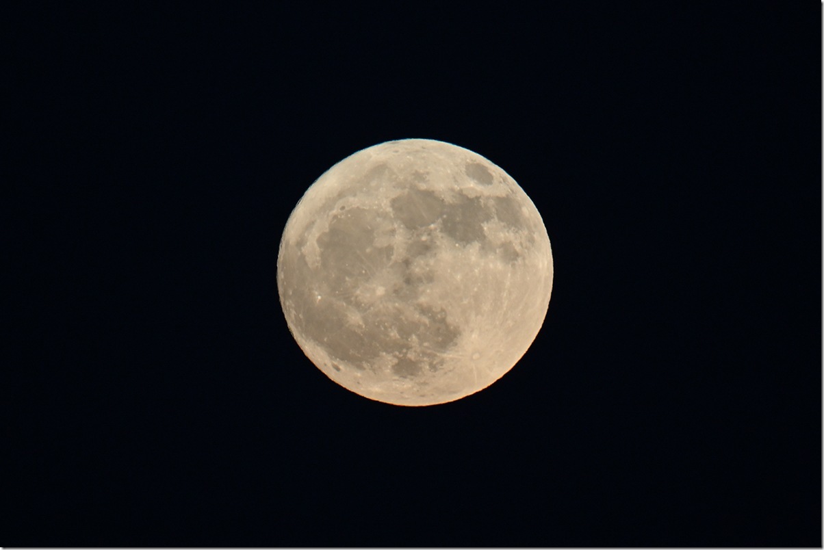 Z5M_2590_blog
