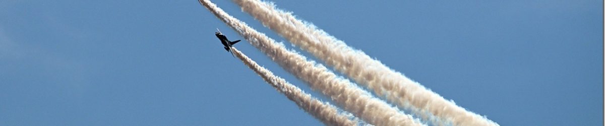Z8M_1257_blog_thumb-1