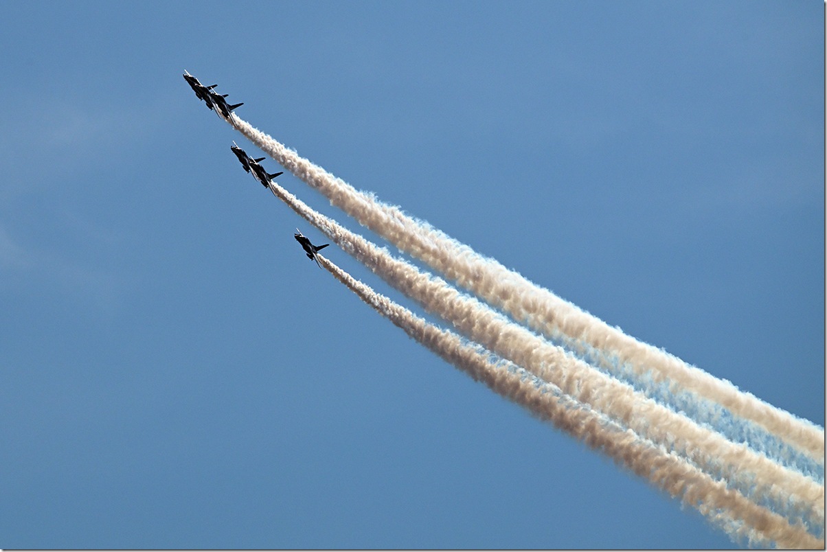 Z8M_1257_blog