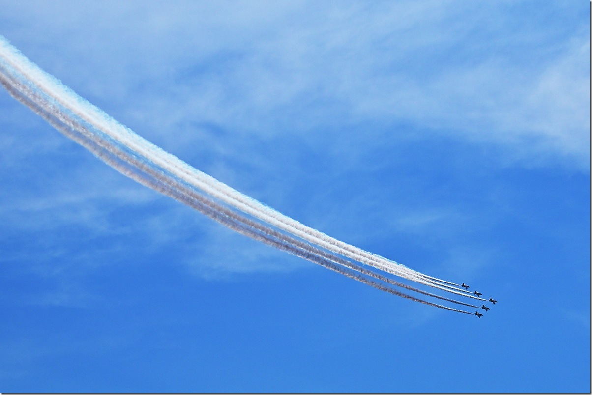 Z8M_2828_blog