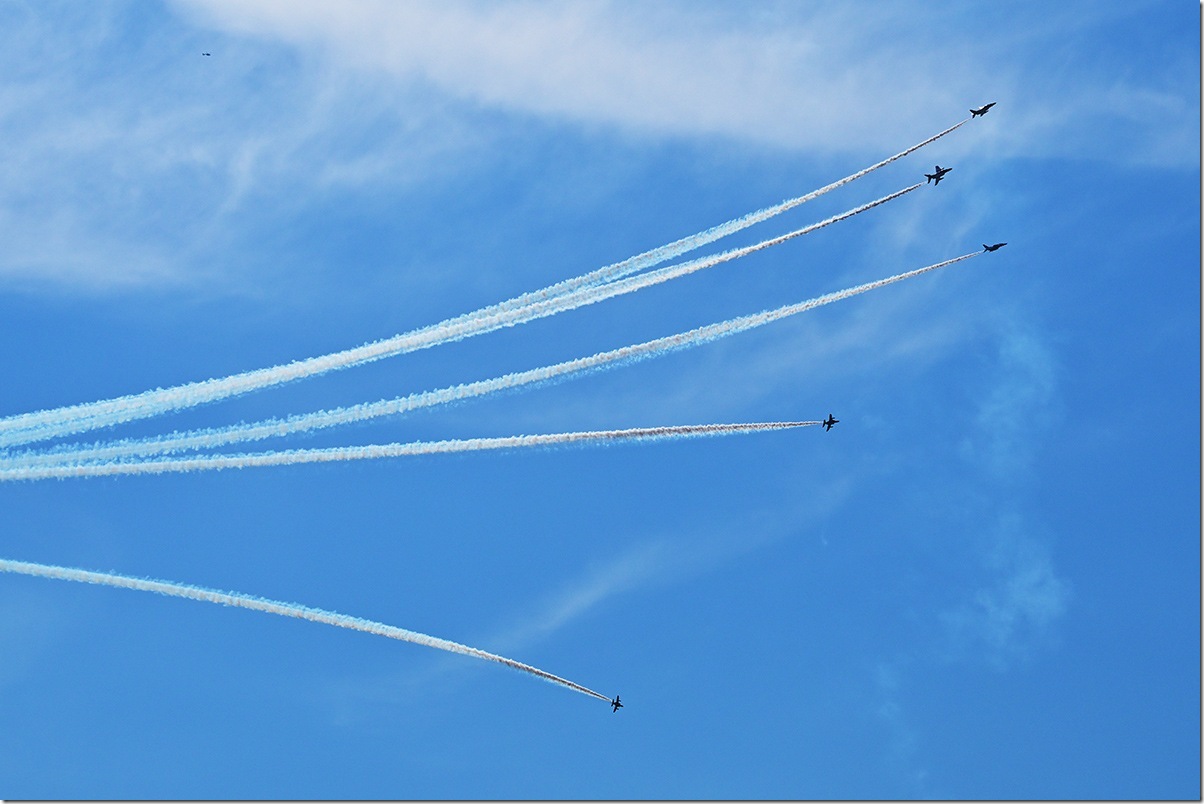 Z8M_3319_blog