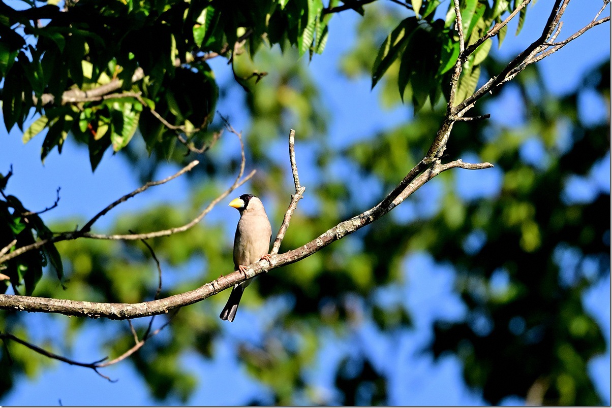 Z8M_4807_blog