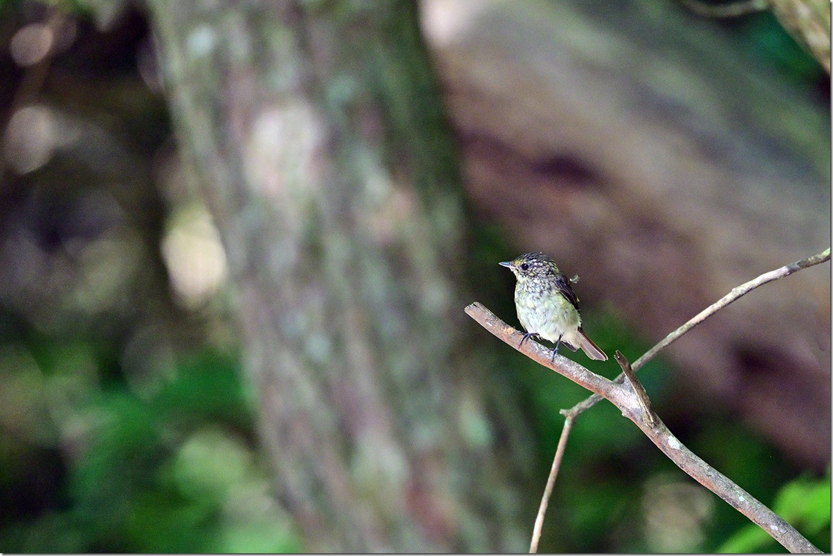 Z8M_5000_blog