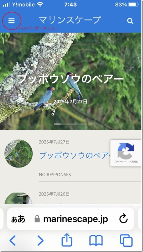 iPhone_img1