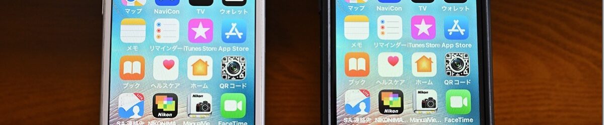 Z5M_2772_blog_thumb-1