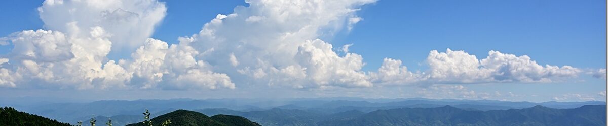 Z5M_2789_blog_thumb-1