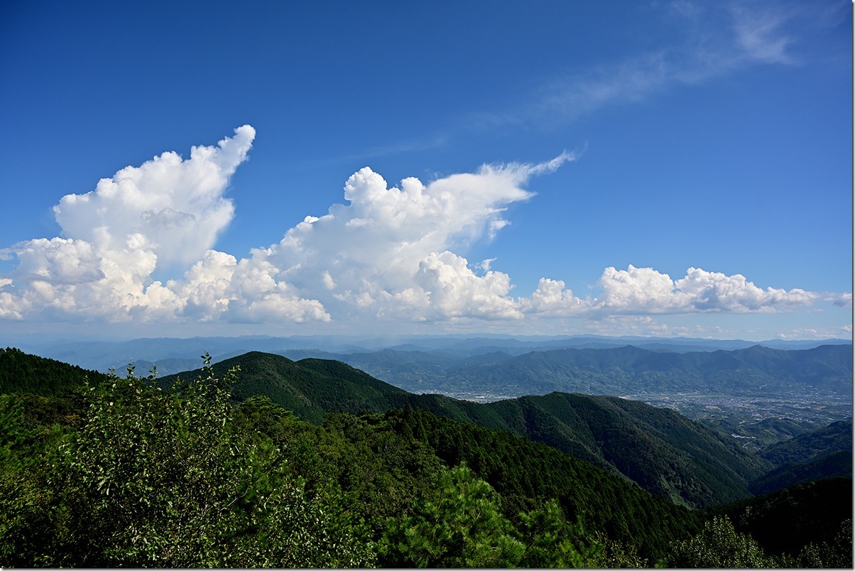 Z5M_2789_blog