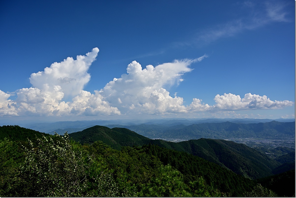 Z5M_2794_blog