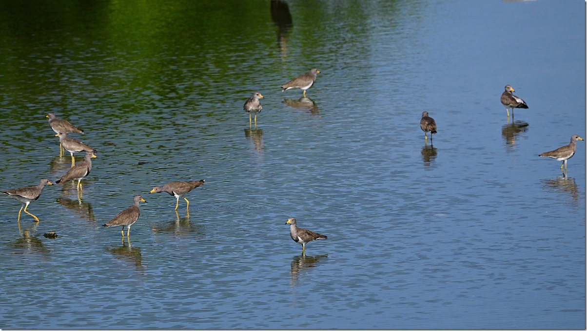 Z8M_5880_blog