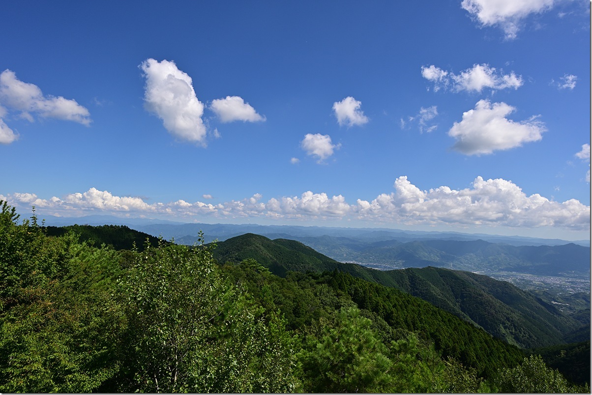 Z8M_7727_blog