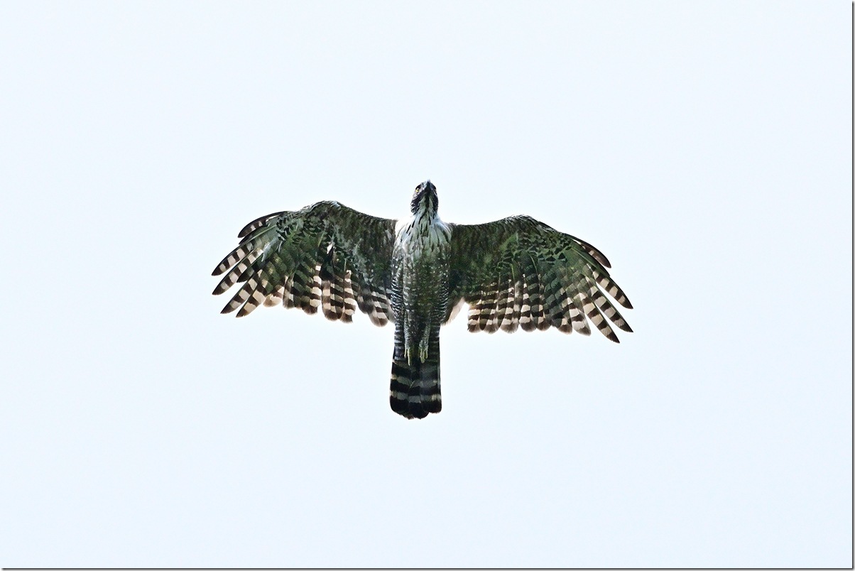 Z8M_7759_blog
