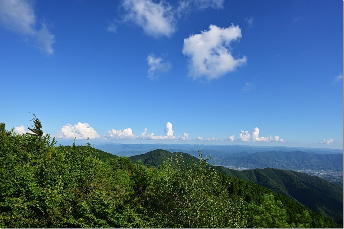 Z8M_7853_blog