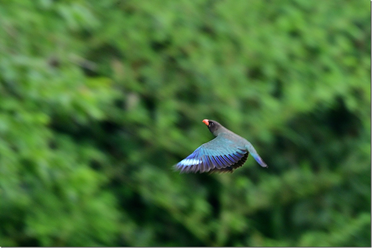 Z9M_2070_blog
