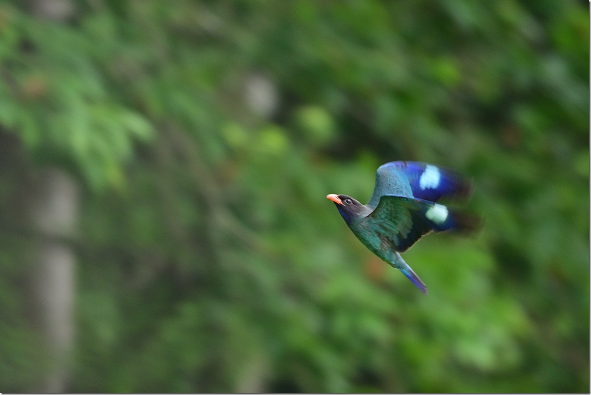 Z9M_2550_blog