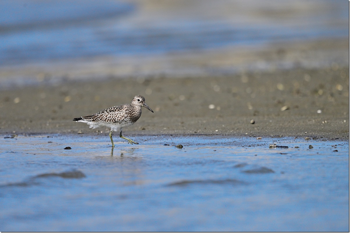 Z9M_6680_blog