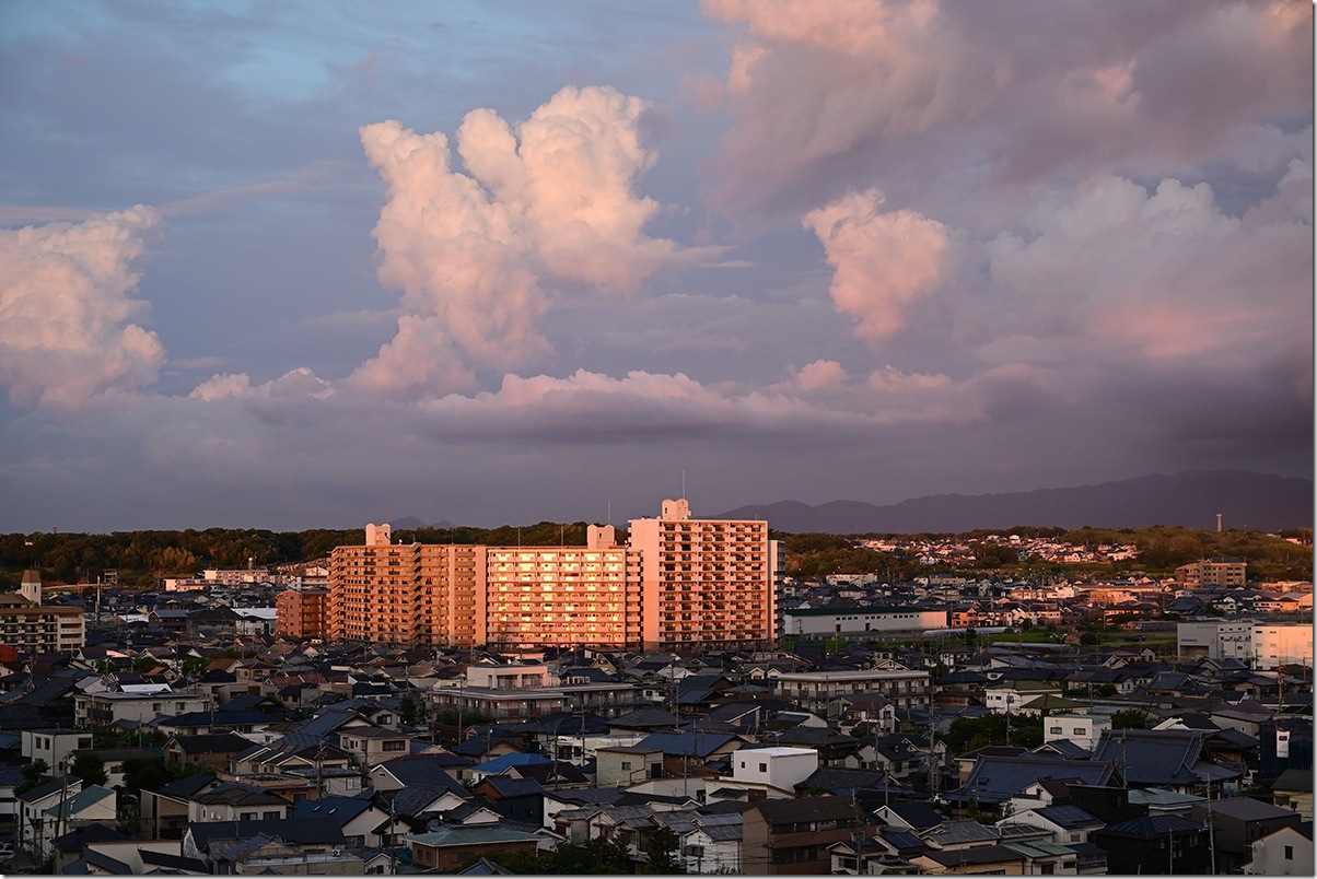 Z5M_2814_blog