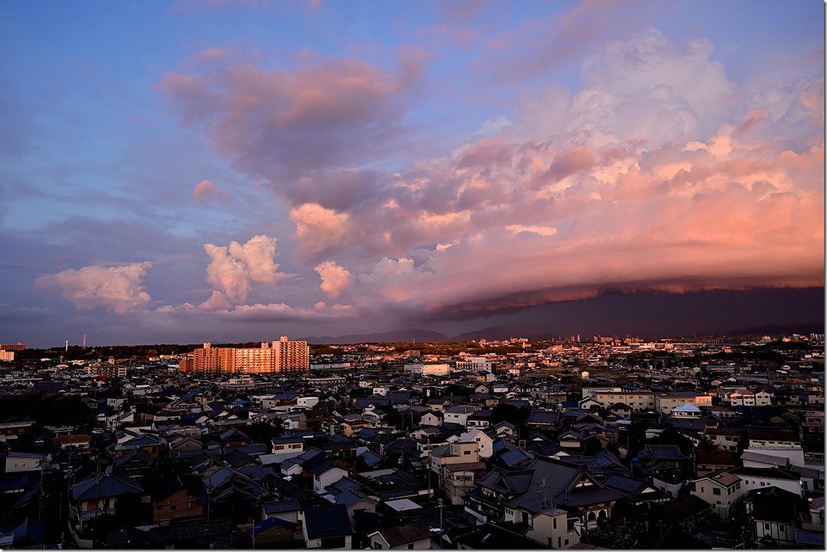 Z5M_2830_blog
