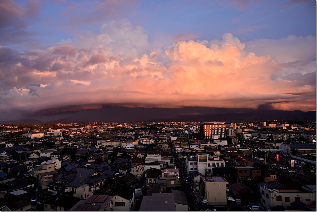 Z5M_2840_blog