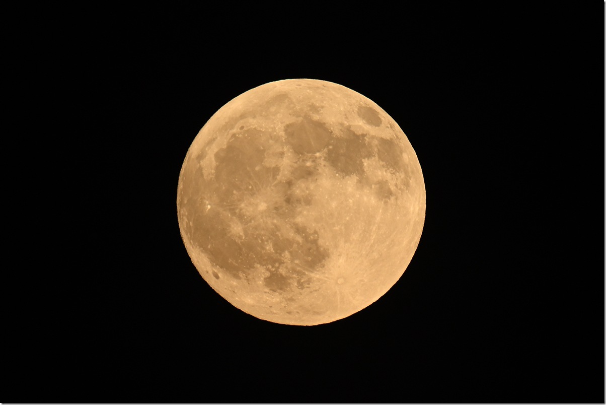 Z5M_2866_blog