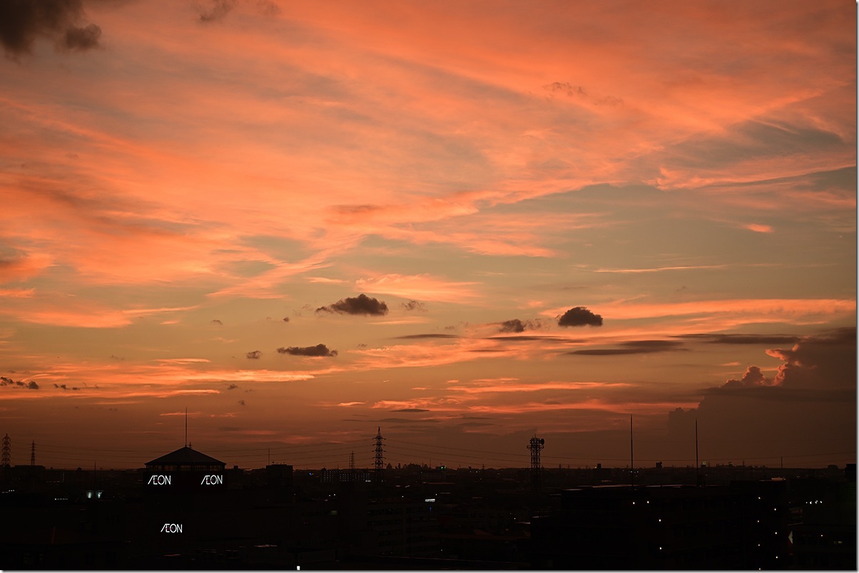 Z5M_2990_blog