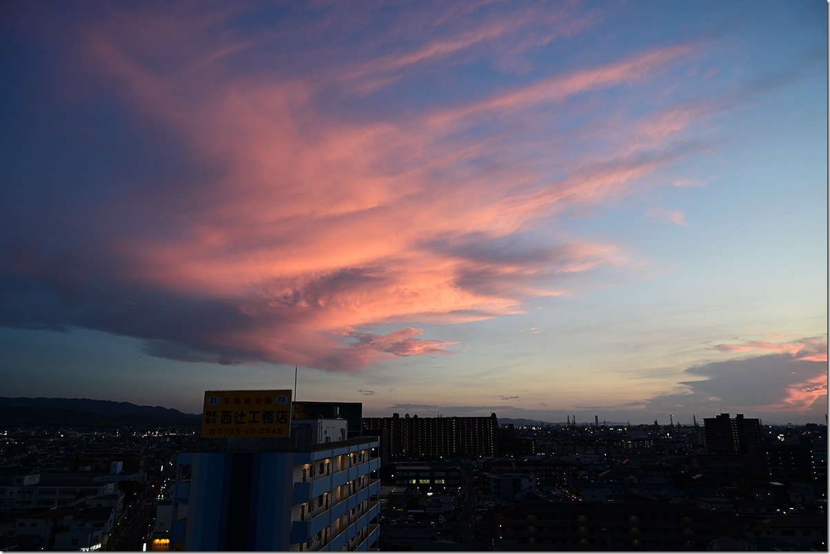 Z5M_3002_blog