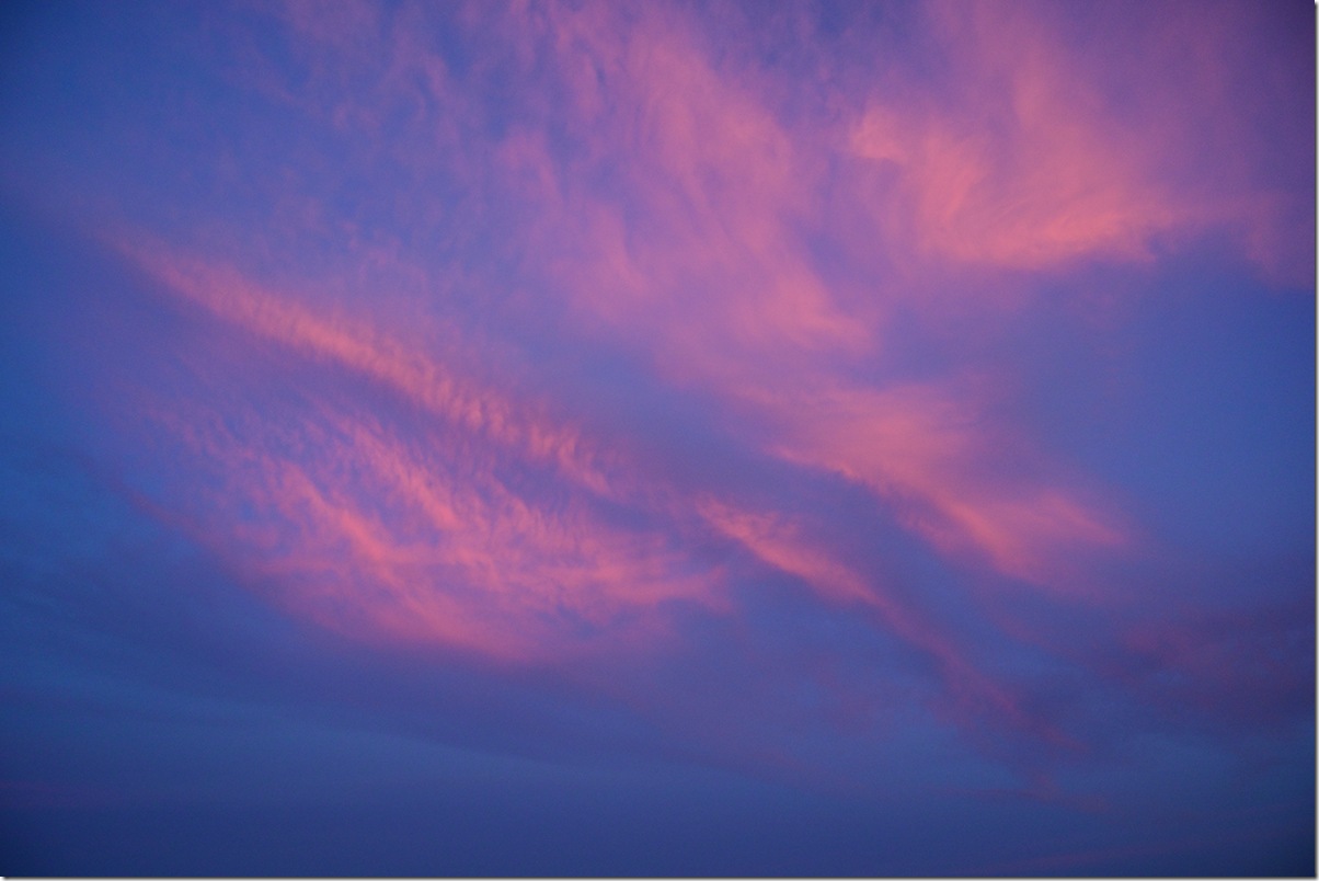 Z5M_3016_blog