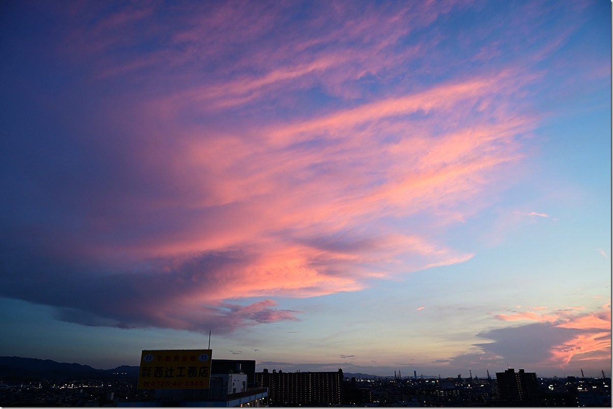 Z5M_3026_blog