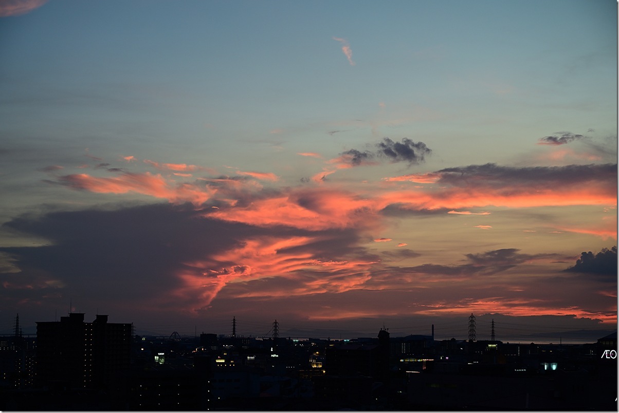 Z5M_3030_blog