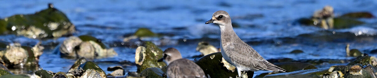 Z9M_7830_S Z9M_7830_S