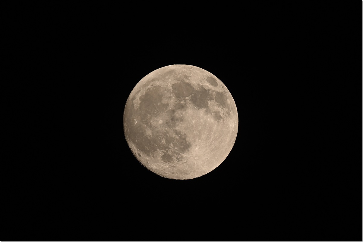 Z5M_3198_blog