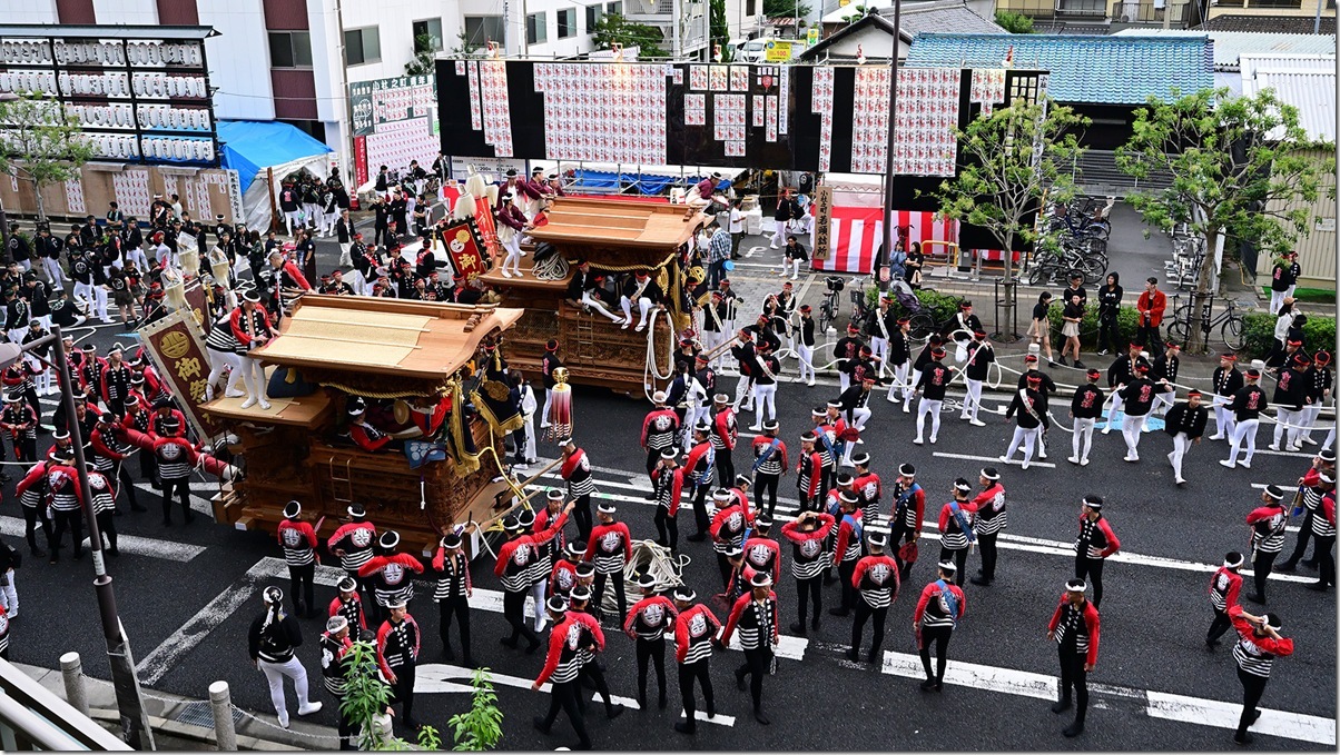 Z5M_3266_blog