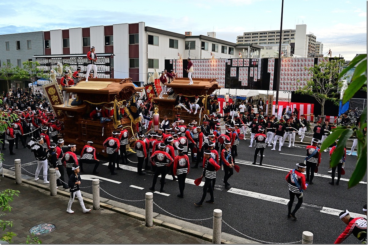 Z5M_3270_blog