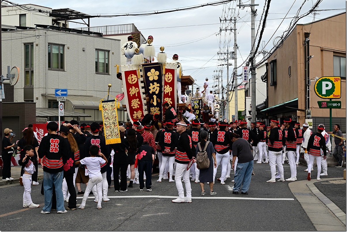 Z5M_3323_blog