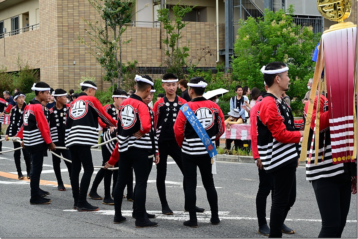 Z5M_3335_blog