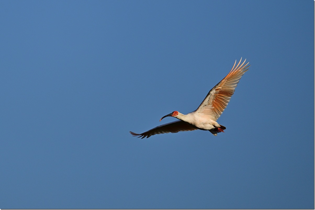 Z8M_3340_blog
