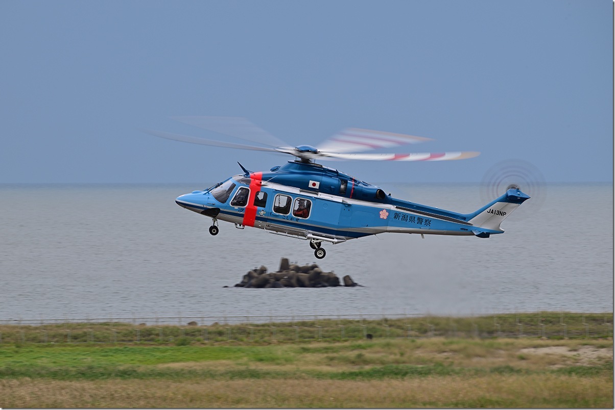 Z8M_8944_blog